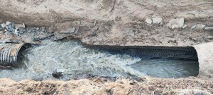 645488420_1378186330775176_7029800390523883536_n